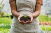 Les 10 types de jardiniers de Bob Vila: lequel êtes-vous ?