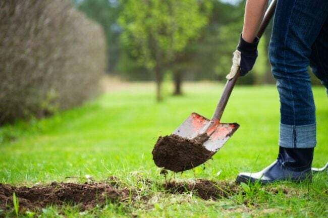 シャベルを使って芝生の穴を土で埋める庭師