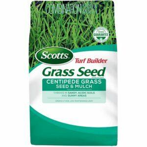 La meilleure option d'herbe pour les sols sablonneux: Scotts Turf Builder Centipede Grass Seed and Mulch