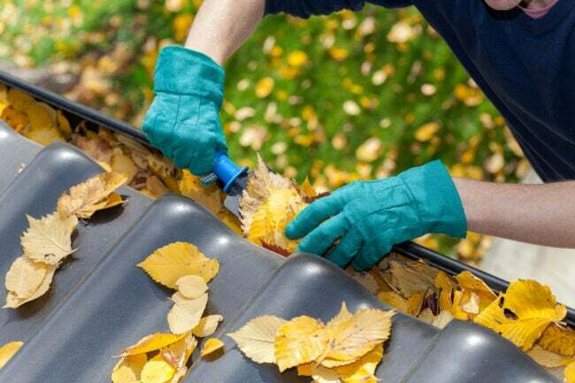 iStock-513231327 cose che un paesaggista può fare per pulire le grondaie dalle foglie