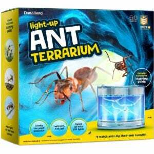 A melhor opção de fazendas de formigas: Dan & Darci Light-Up Ant Habitat