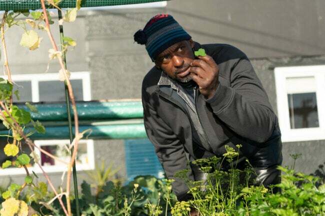 12 Afroameričanov, ki so spremenili naš način vrtnarjenja