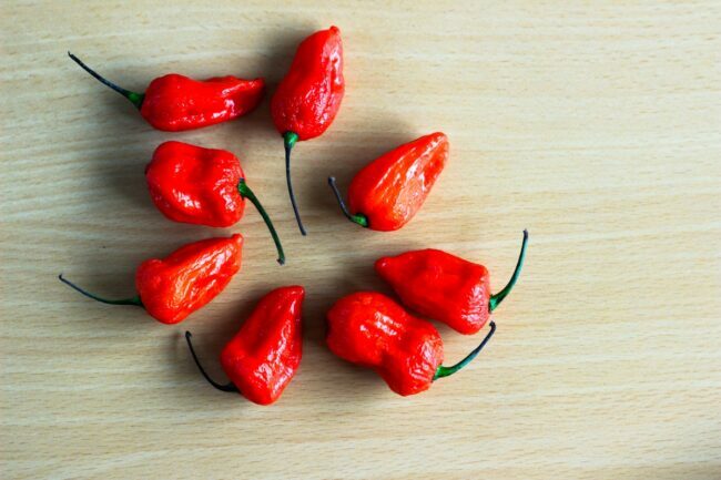 tipos de pimentas - pimentão vermelho bhoot jolokia ghost