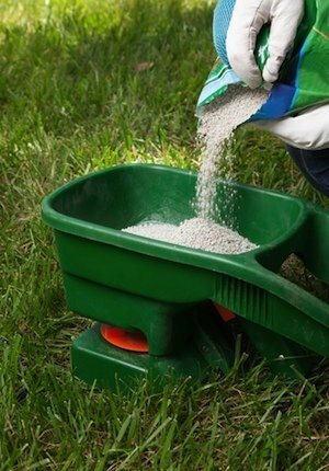 Ako hnojiť trávnik na jeseň - nakladanie