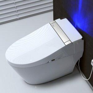 ตัวเลือกโถสุขภัณฑ์แบบ Dual Flush ที่ดีที่สุด: WOODBRIDGE Venezia Intelligent Dual Flush Toilet
