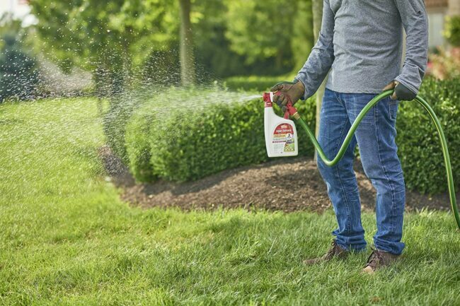 Melhor spray de carrapato para opções de quintal