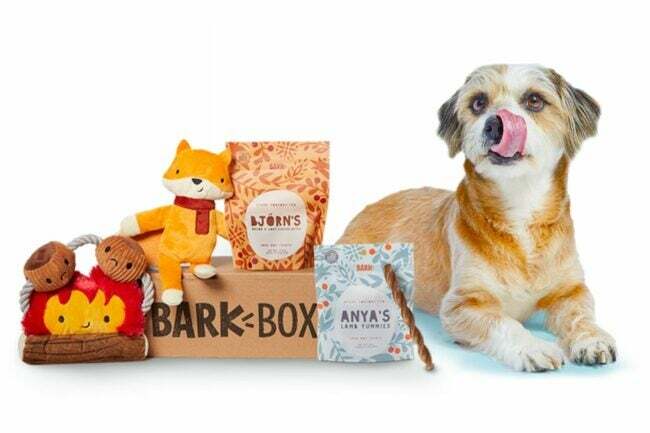 საუკეთესო სააბონენტო საჩუქრების ვარიანტები: BarkBox გამოწერა