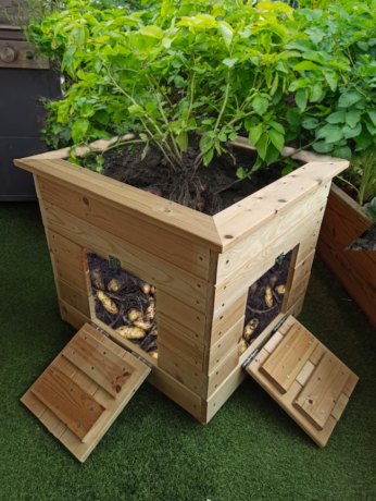 μεγάλη ξύλινη τετράγωνη ζαρντινιέρα για φυτά πατάτας με ανοιχτές υποδοχές που εκθέτουν τις ρίζες της πατάτας στο χώμα