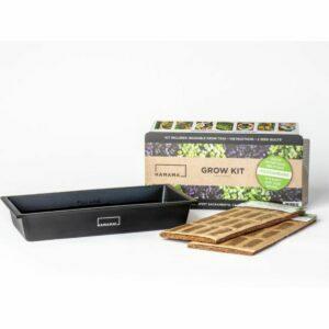 A melhor opção de presentes para hostess: Kit de cultivo doméstico de Microgreens