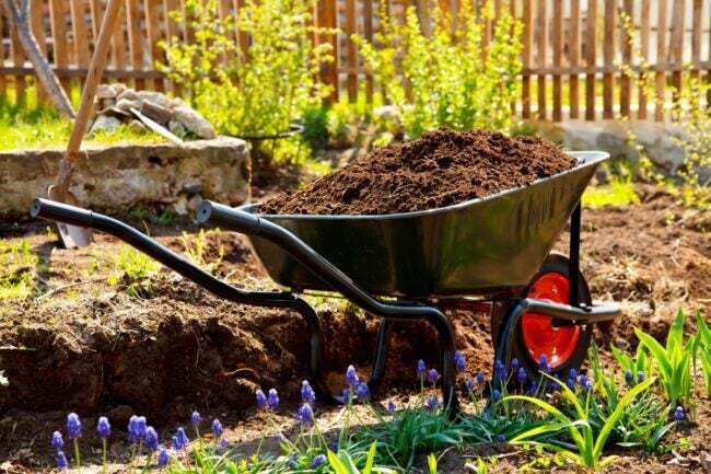 cómo cultivar un jardín sin timón - carretilla con abono al lado del jardín