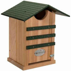 Nejlepší varianta ptačích domků: JCs Wildlife Cedar Screech Owl Nest Box