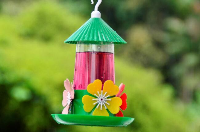 alimentador de colibri