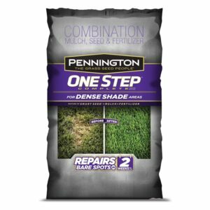 Melhor opção de semente de grama para sombra: Semente de grama de sombra densa completa Pennington One Step