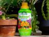 Espoma Organic Indoor Plant Fertilizer Review: werkt het? Getest door Bob Vila