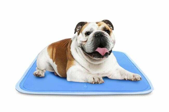 გენიალური პროდუქტები, რომლებიც დაგეხმარებათ დარჩეთ მაგარი ვარიანტი მწვანე Pet Shop Dog Cooling Mat