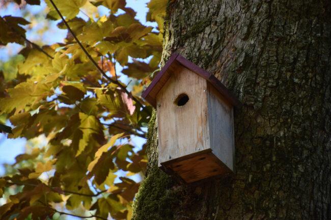 Πώς να φτιάξετε ένα Birdhouse