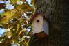 Hvordan lage ditt eget hjemmelagde fuglehus (DIY -opplæring)