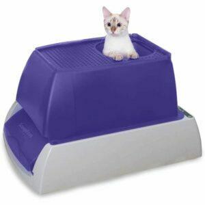 De beste automatische kattenbakopties: PetSafe ScoopFree automatische zelfreinigende kattenbak