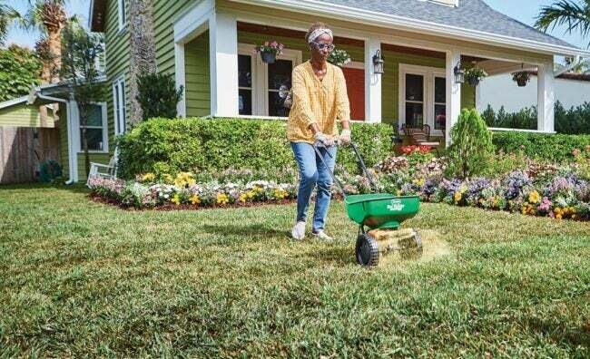 Жінка наносить гіпс на газон із зеленим добривом