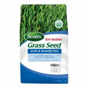 เมล็ดพันธุ์หญ้าที่ดีที่สุดสำหรับตัวเลือกร่มเงา: 20 ปอนด์ Turf Builder Grass Seed Sun และ Shade Mix