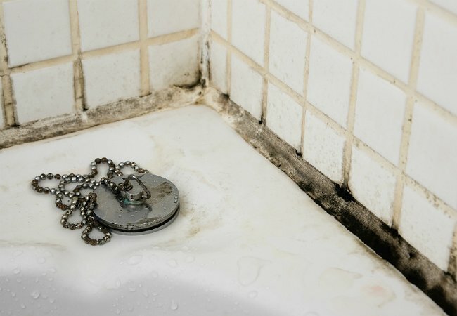 Moisissure noire dans la salle de bain - Moule autour de la baignoire