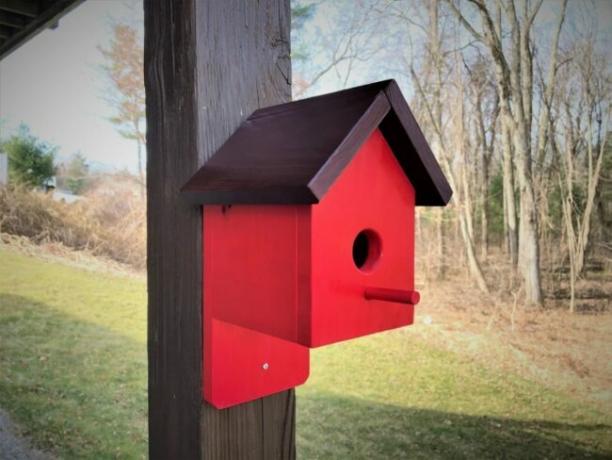 planos de casinha de passarinho - casinha de passarinho vermelha com telhado preto