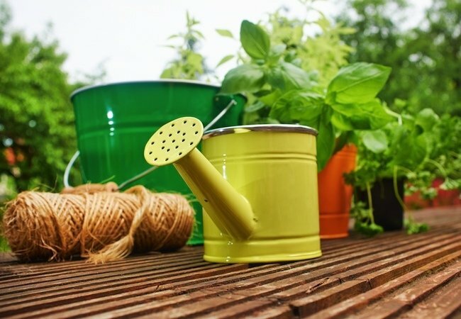 Советы новым домовладельцам - садоводство