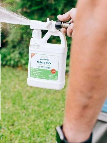 Spruzzare lo spray per pulci e zecche Wondercide in giardino