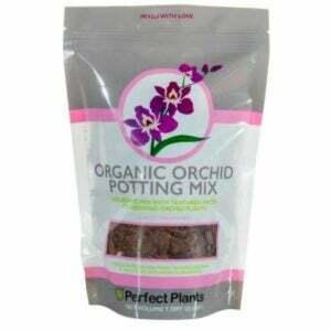 O Melhor Solo para Orquídeas Opção: Plantas Perfeitas 1 Qt. Mistura orgânica para vasos de orquídeas