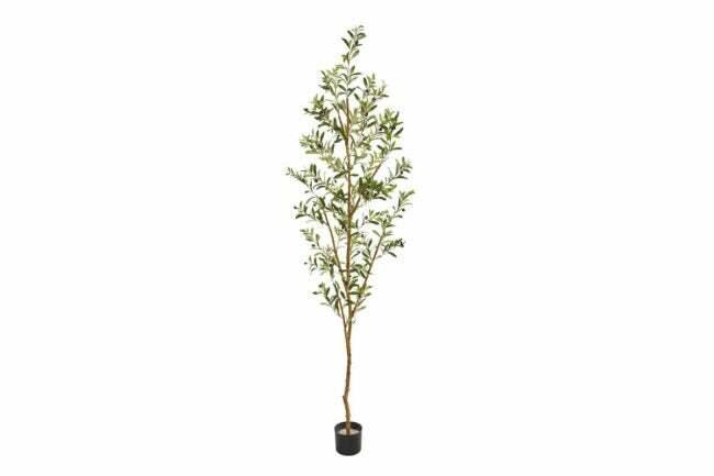 Η καλύτερη επιλογή Faux Olive Tree Charlton Home Artificial Olive Tree