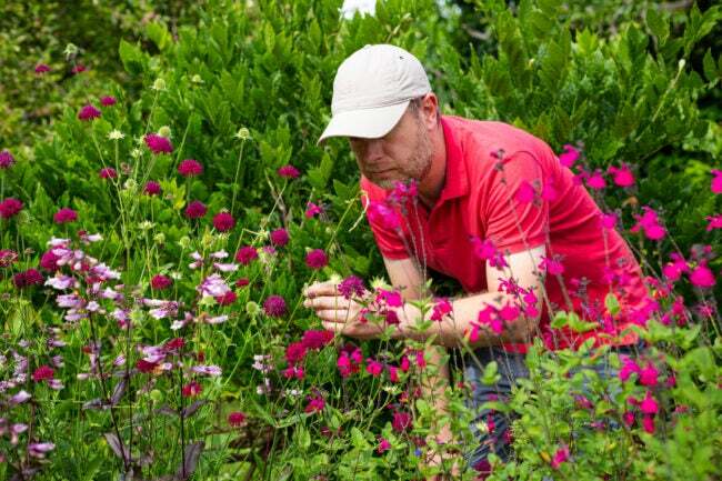 Fargebilde som viser en middels voksen mann i 30-årene som undersøker blomstene som vokser i hagen hans. Han har på seg en rød poloskjorte og beige baseballcaps.