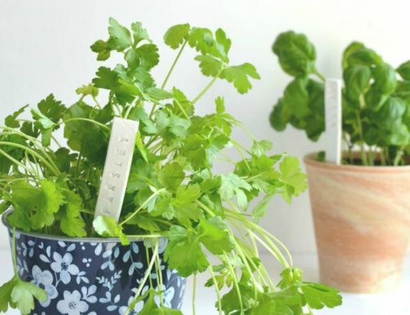 פרויקטים של חימר אוויר יבש - סמני צמחים DIY