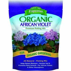 El mejor suelo para las opciones de plantas de jade: Espoma AV4, mezcla orgánica para macetas de violeta africana