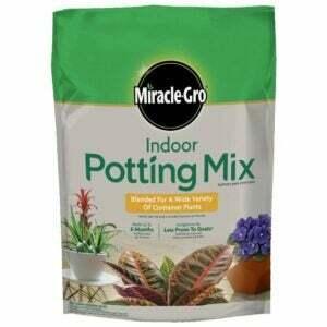 Mejor suelo para la opción de planta de jade: mezcla para macetas de interior Miracle-Gro