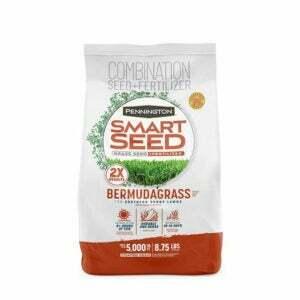 Melhor opção de semente de grama Bermuda: Pennington Smart Seed Bermuda Grass and Fertilizer