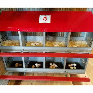 최고의 둥지 상자 옵션: Duncan's Poultry 8-Hole Hen Nest