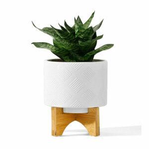 A melhor opção de vasos para plantas de babosa: vaso de cerâmica POTEY Mid Century com suporte de madeira