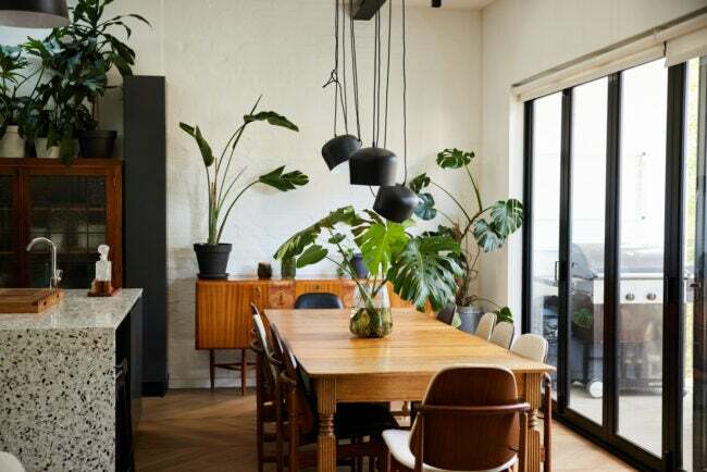 كراسي وطاولة طعام عليها نبات بجوار أبواب الفناء في منزل حديث ذو مخطط مفتوح به الكثير من النباتات في أوعية. 