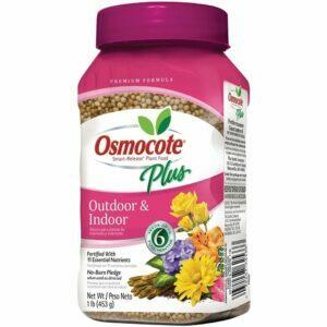 최고의 식물성 식품 옵션: Osmocote 274150 Smart-Release Plant Food Plus