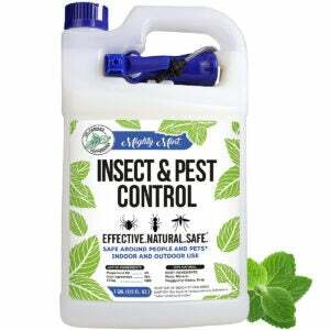Det bästa alternativet för att motverka stinkbugg: Mighty Mint Insekts- och skadedjursbekämpande pepparmyntsolja