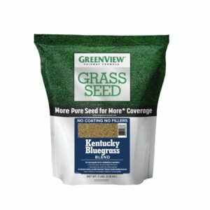 Melhor opção de semente de grama para sombra: GreenView Fairway Formula Grass Seed
