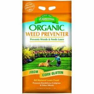 นักฆ่าวัชพืชที่ดีที่สุดสำหรับตัวเลือกหญ้าเบอร์มิวดา: Espoma Organic Weed Preventer