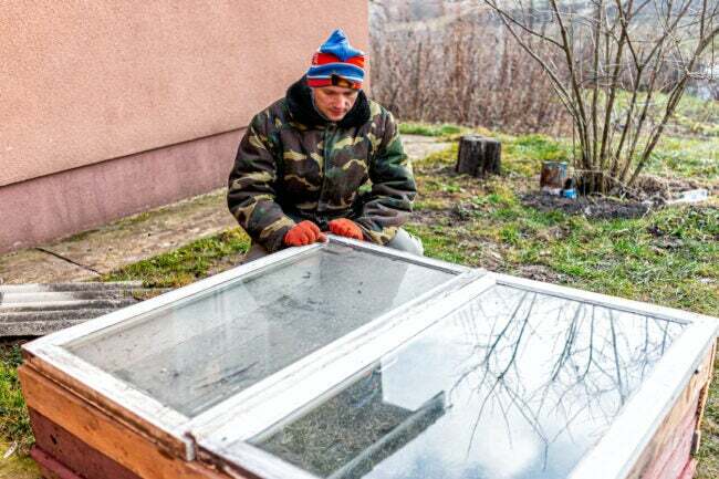 iStock-1217411186 ożywić zimowane rośliny Człowiek siedzący pracujący nad majsterkowaniem projekt budowlany zbliżenie warzywnego ogrodu zimowego na podniesione łóżko zimna rama pudełko 