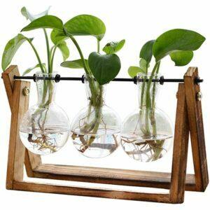 Najlepsza opcja systemu hydroponicznego: XXXFLOWER Bulb Glass Hydroponics Home Garden