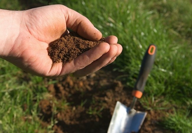טיפול במדשאות אביב - בדיקת קרקע