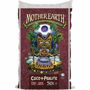 Den bästa jorden för Pothos-alternativet: MOTHER EARTH Coco Plus Perlite Mix