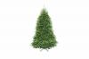 Die besten künstlichen Weihnachtsbäume 2021