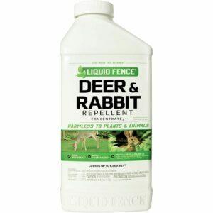 האפשרות הטובה ביותר להדברת ארנבים: ריכוז צבי גדר נוזלית וריכוז דוחה ארנבים