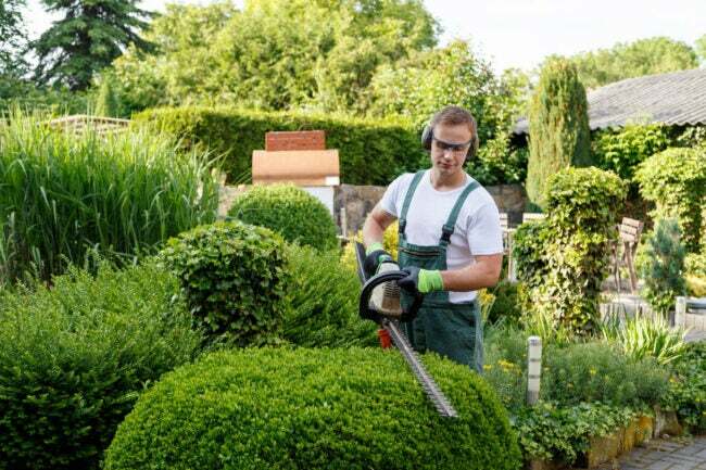 Die besten Optionen für Gartendienstleistungen