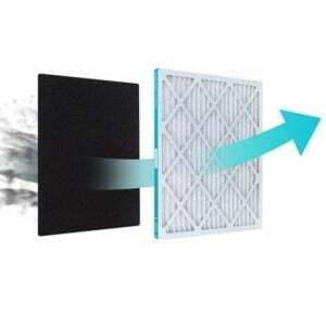 Най-добра опция за абонамент за въздушен филтър: Tru Filtered Air